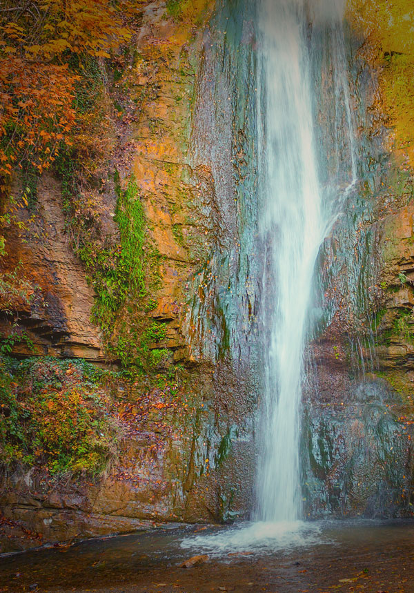 forest waterfall in automn